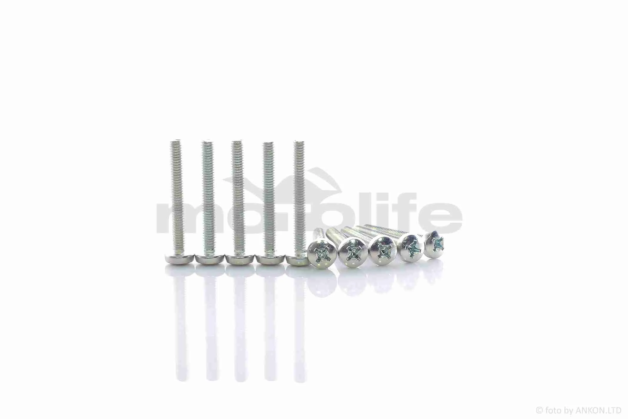 Болти із напівсферичною головкою  D-6, L-45mm  (10шт) (A_AT-021175)