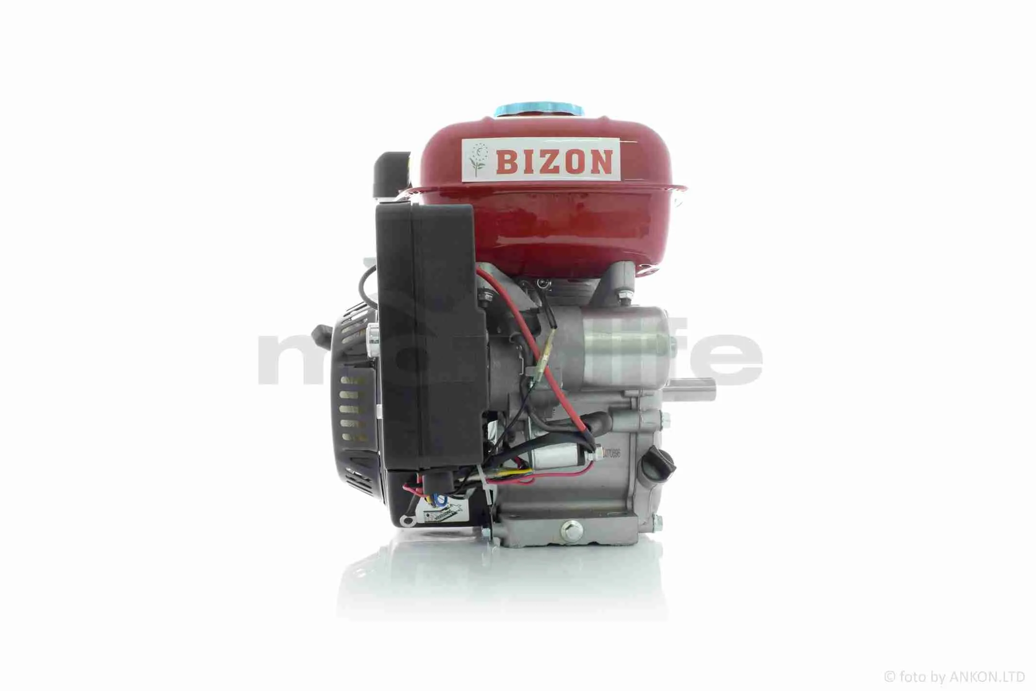 at-032900_5