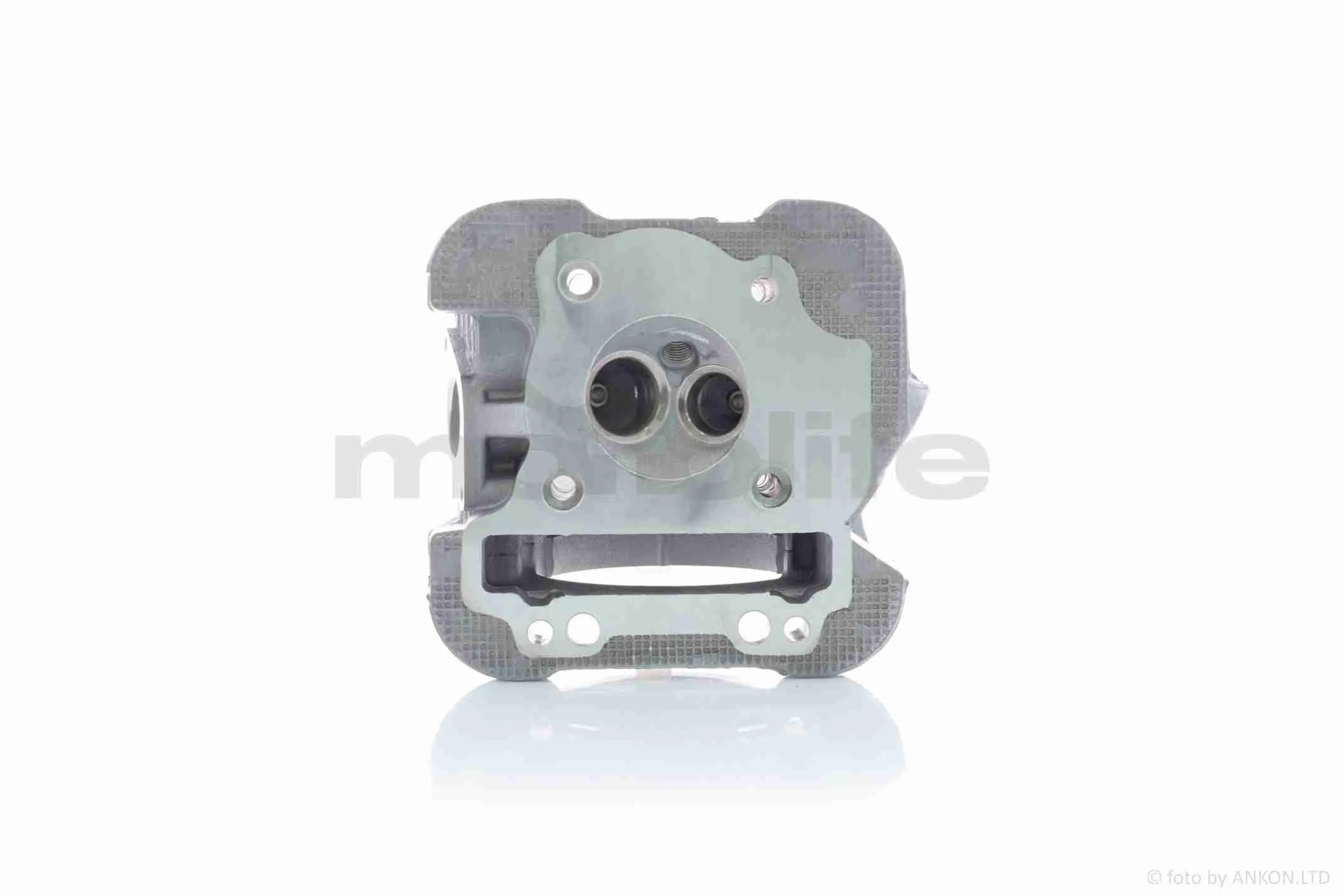 at-033871_4