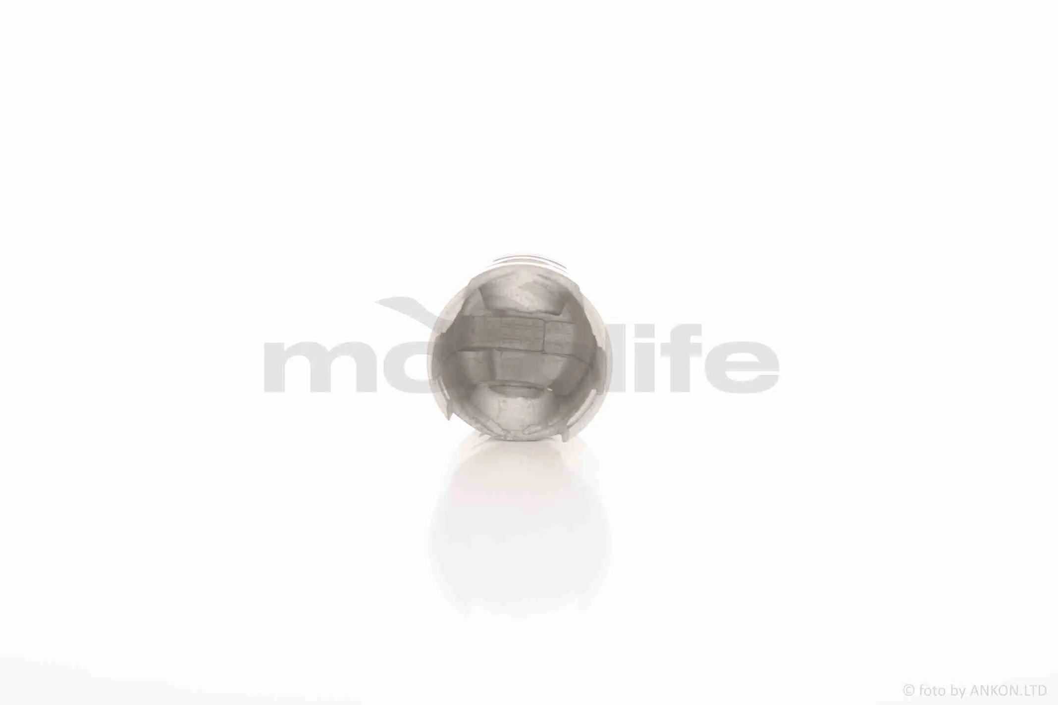 at-037966_5