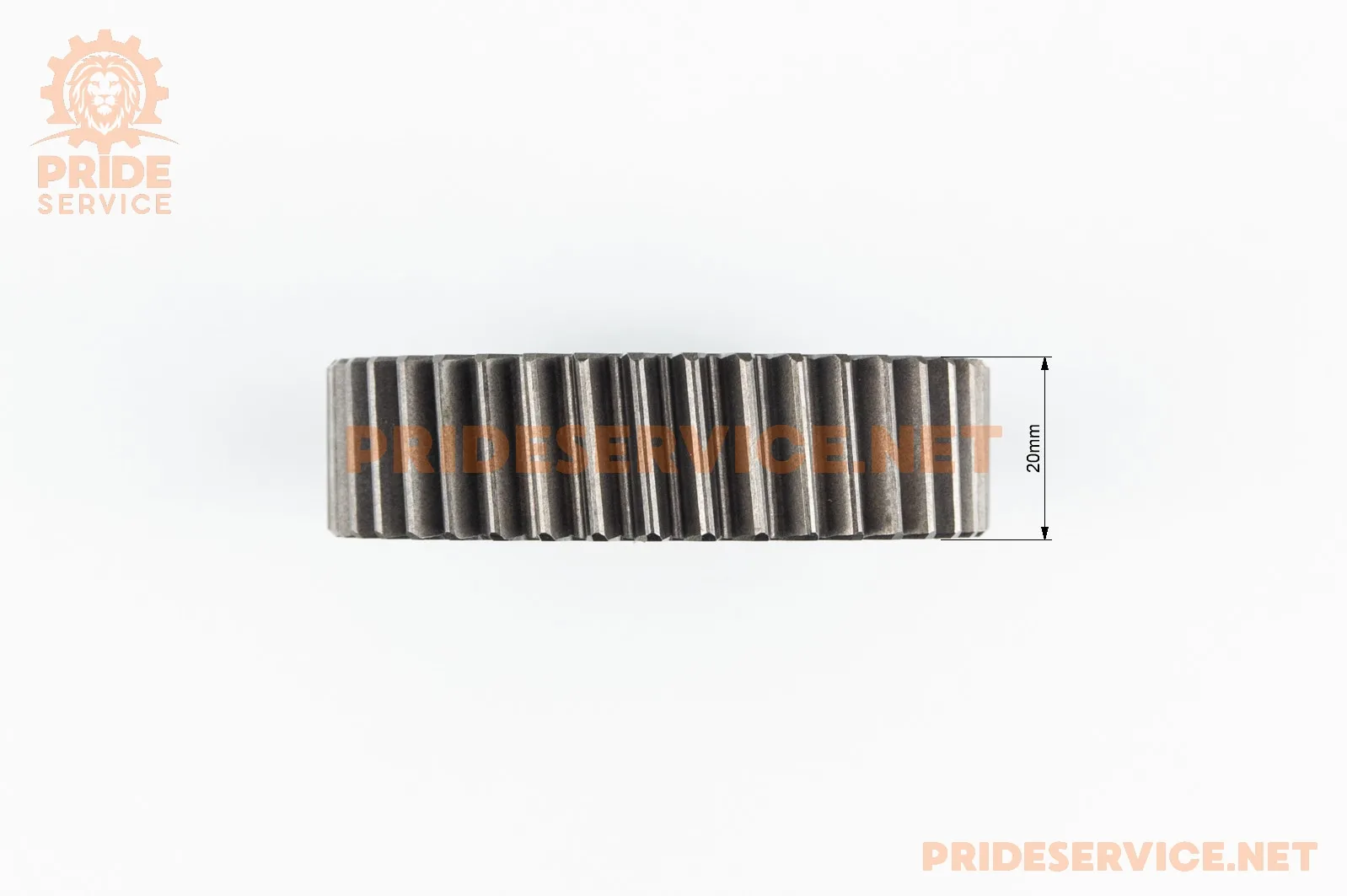 310294-2