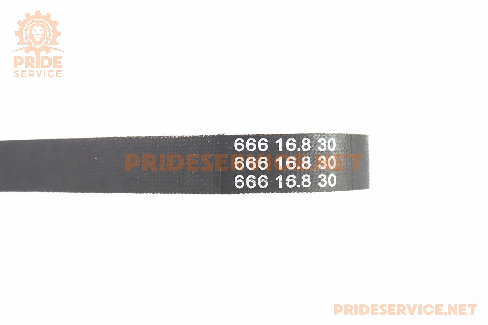 331206-1