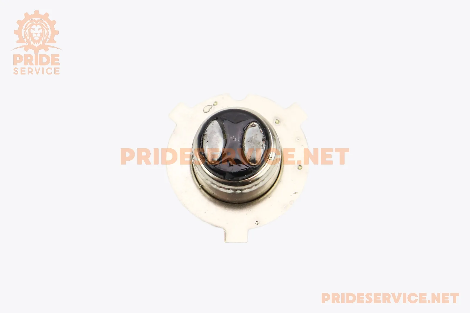 337886-1