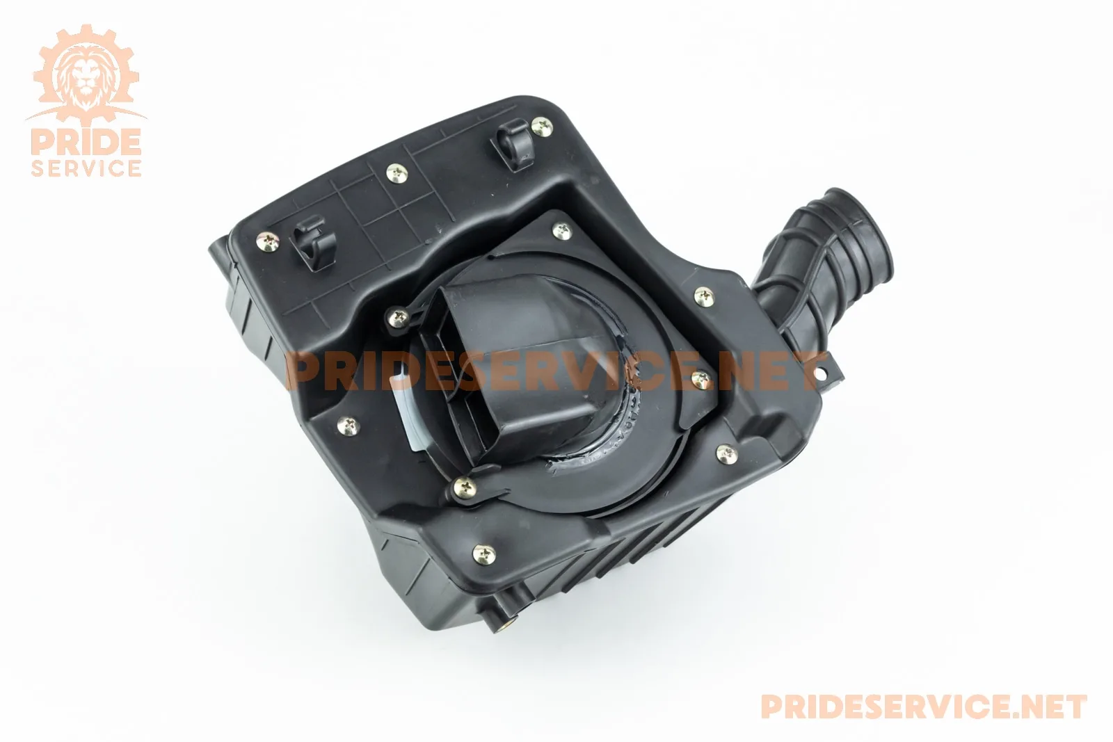Shineray XY200GY-9А Фільтр повітряний у зборі (P_351669)