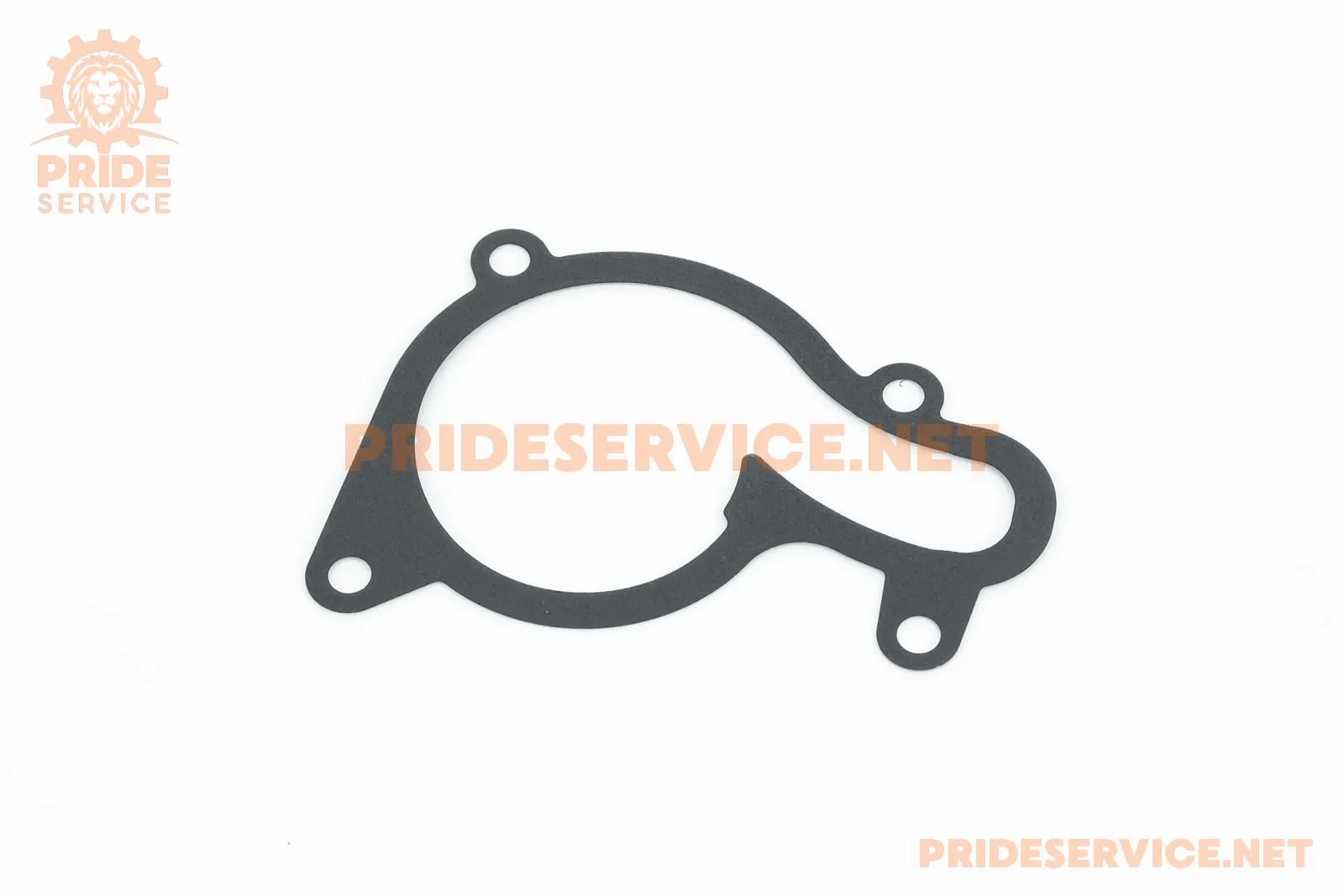 Прокладка кришки помпи ADVANCE NB300-F (P_351754)