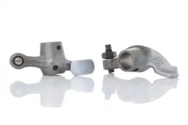 at-006260