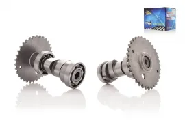 at-009260