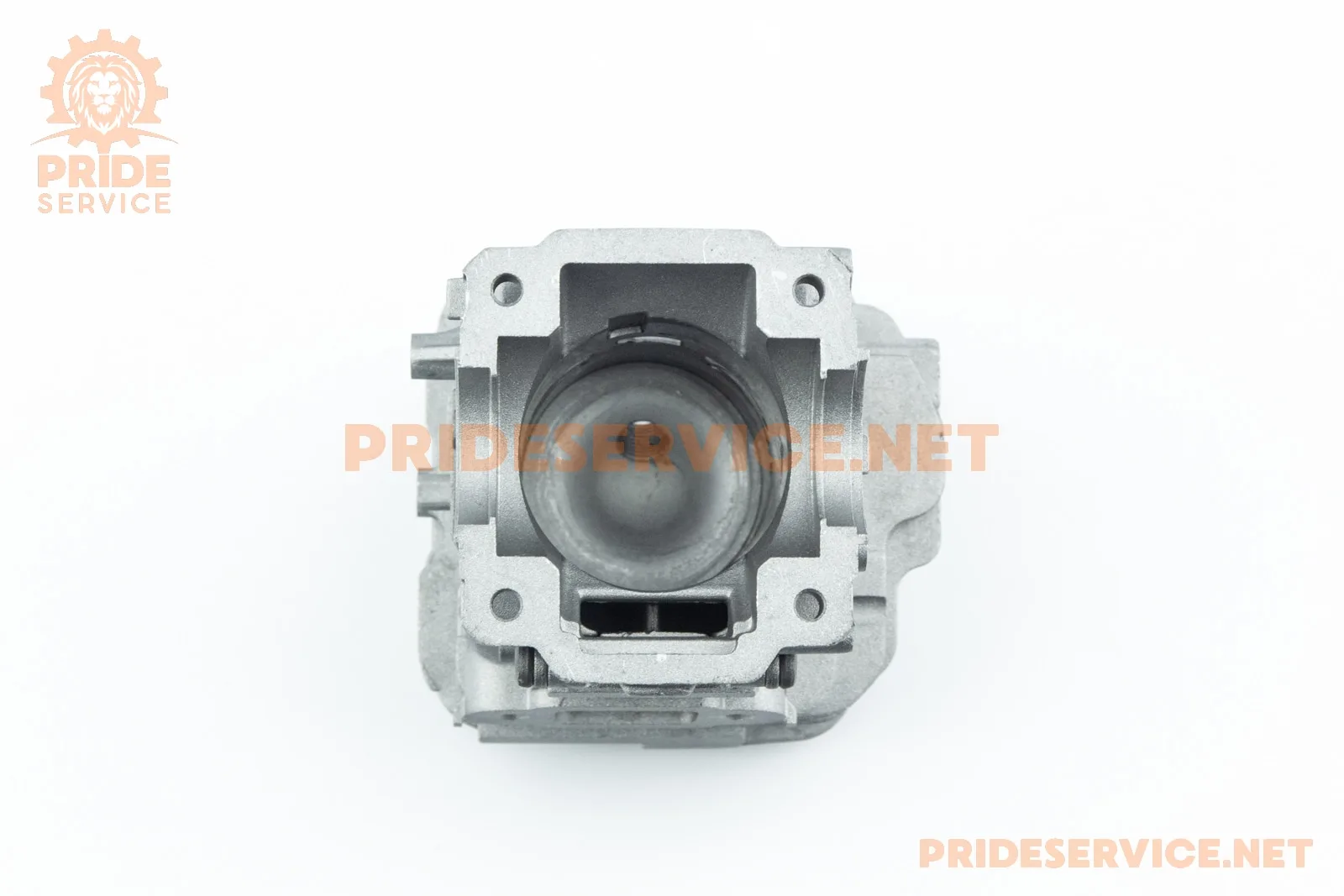 203876-2