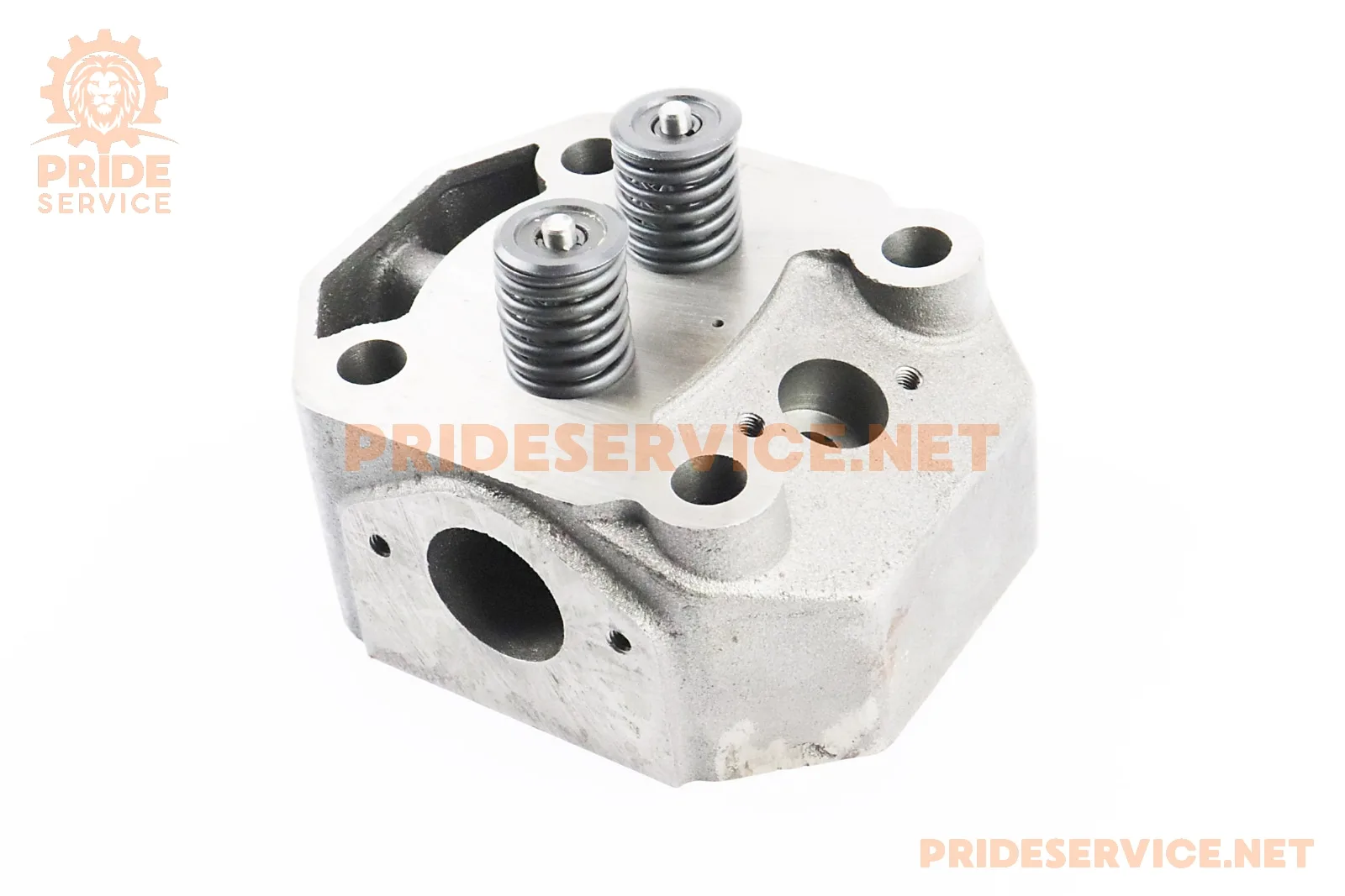 Головка циліндра R195NM у зборі тип 2 (P_624065)