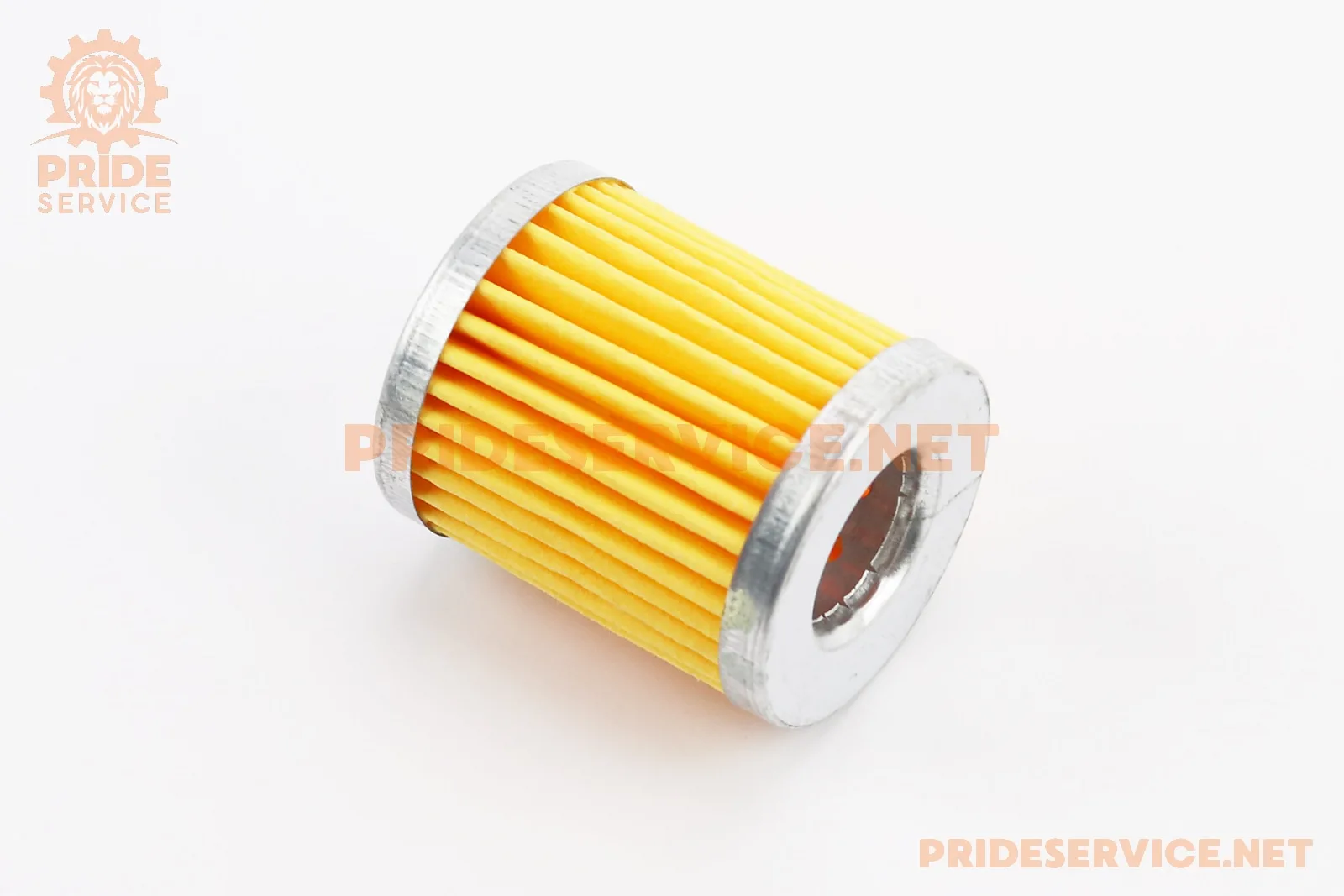 Фільтр паливний-елемент 40мм R170F/R195NM (P_604235)
