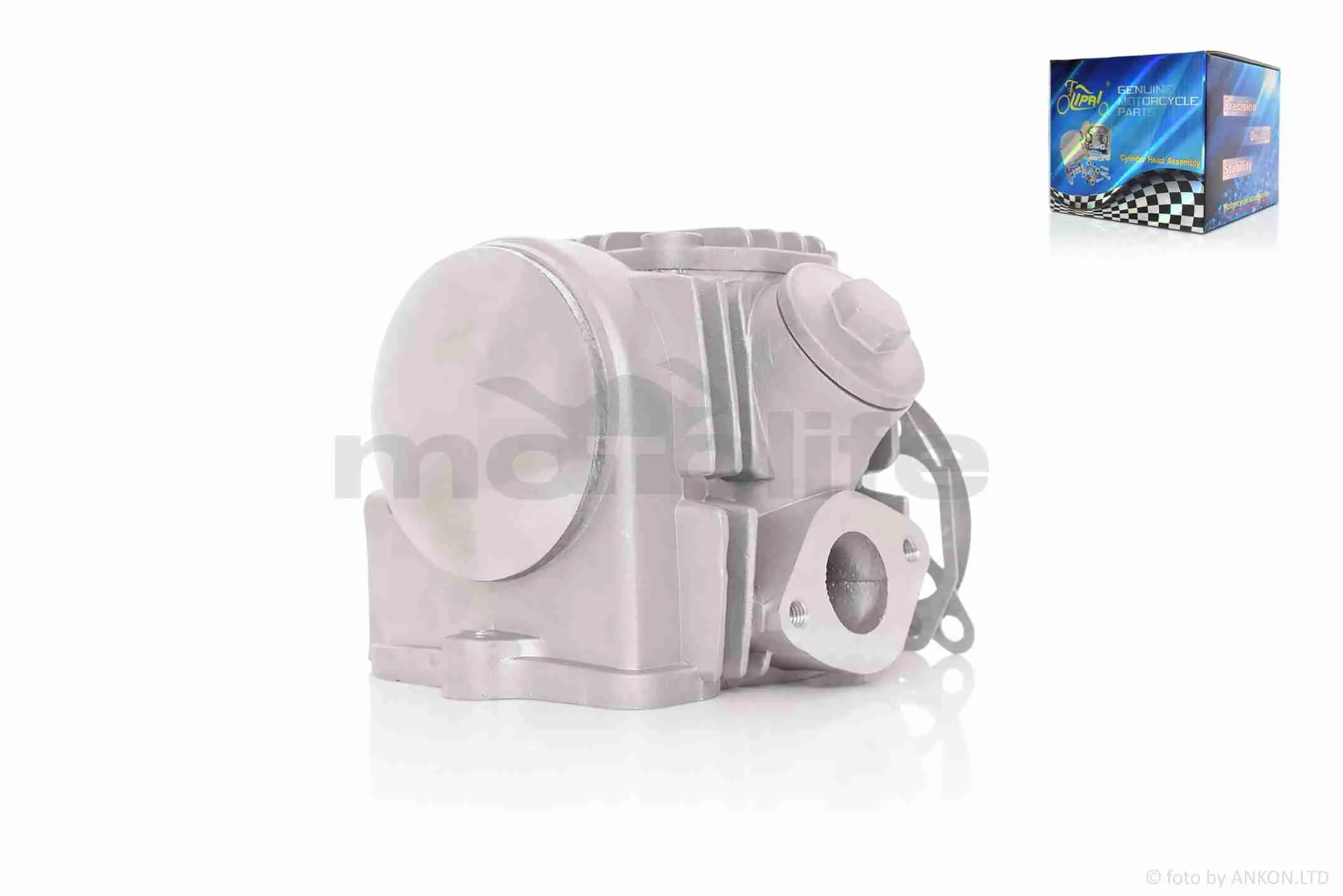at-008513_4